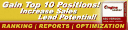Top SEO Tools